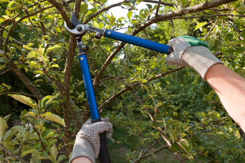 Japanese Pruning