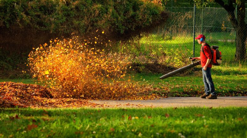 Leaf Blowing