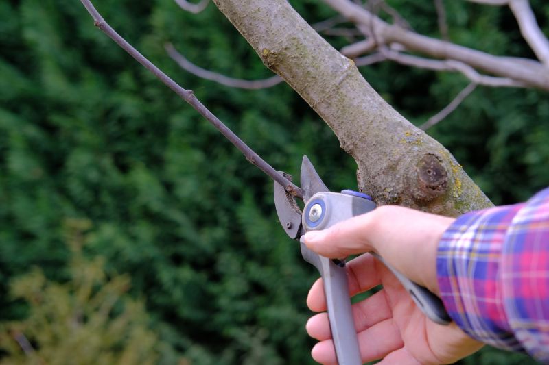 Japanese Pruning