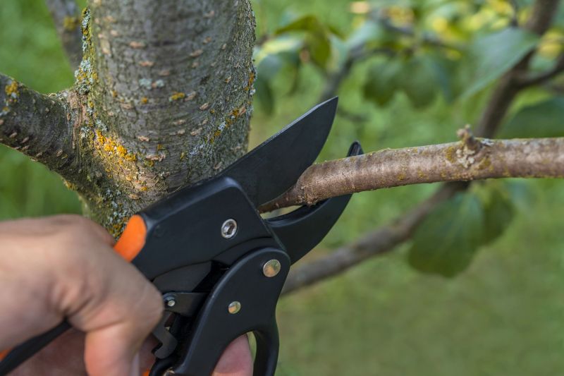 Japanese Pruning