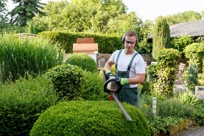 Professional Shrub Pruning