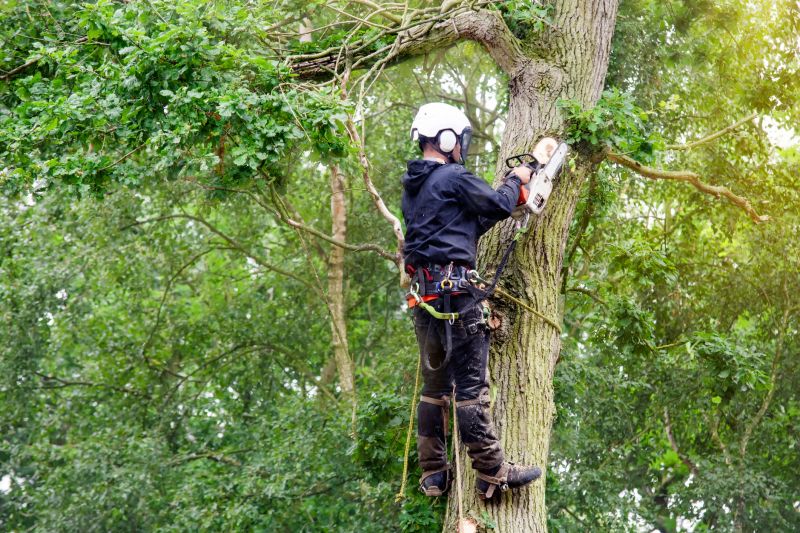 Skilled Arborist at Work